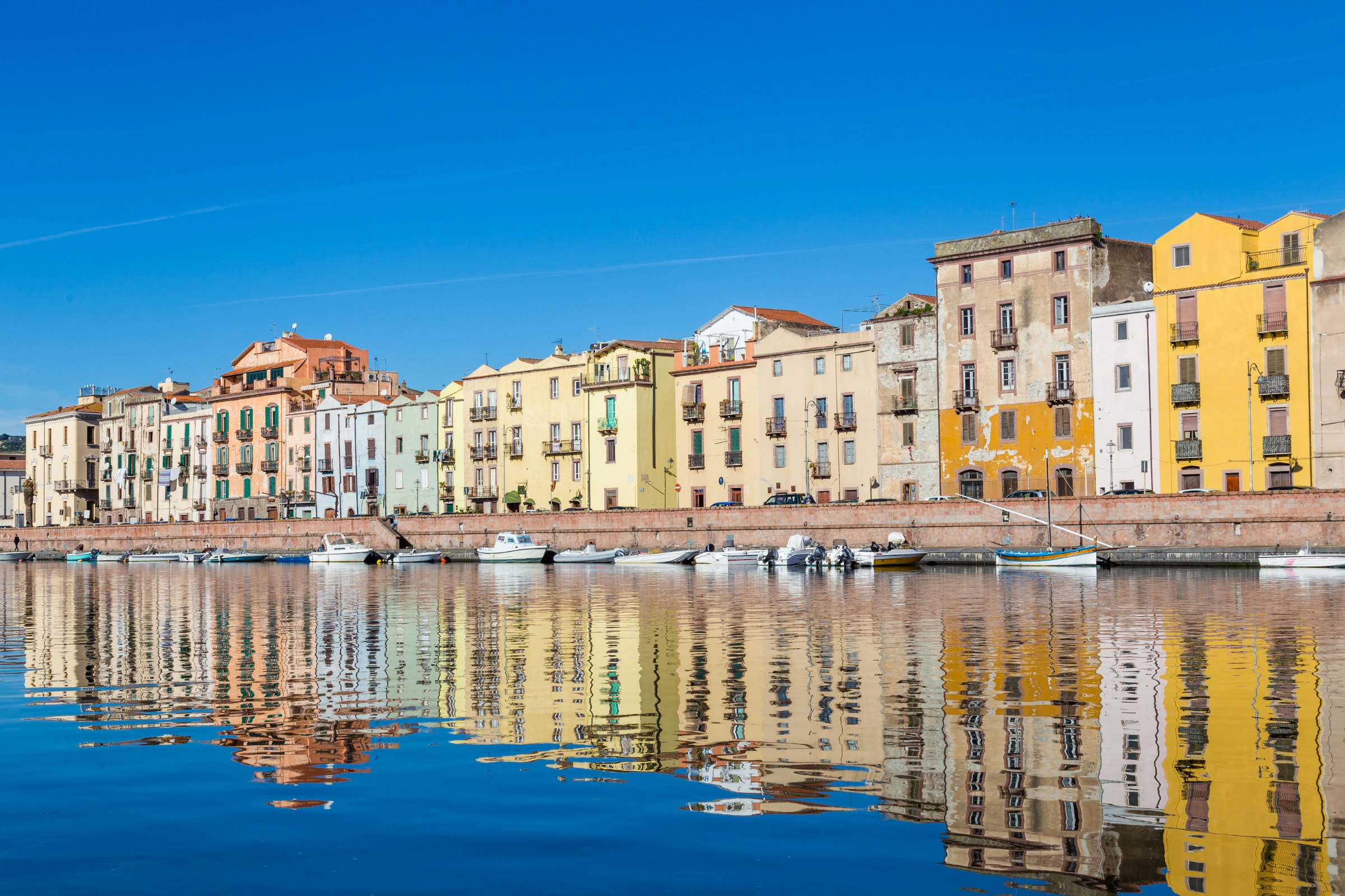 Bosa[1].webp